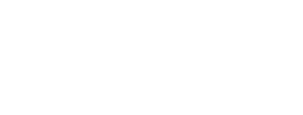 1EFN Network Solution